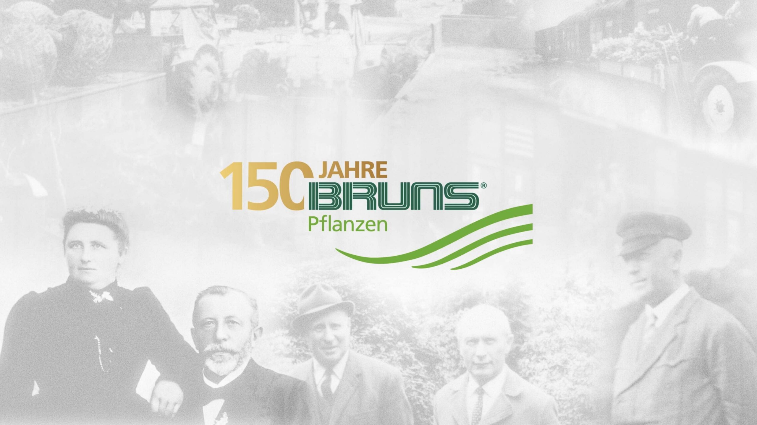 Bruns Pflanzen Preview